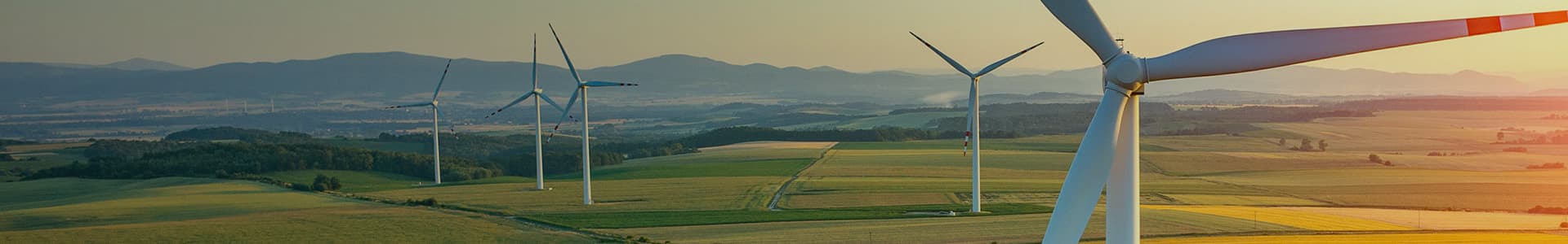 Projects Banner